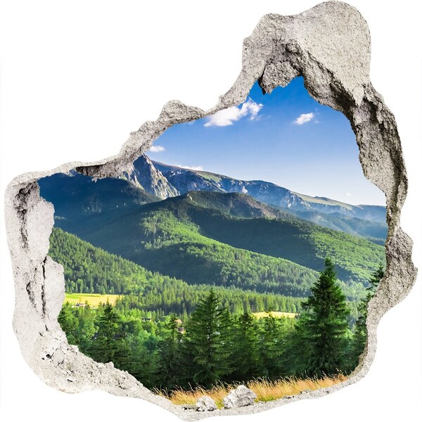 Nálepka fototapeta na zeď Skokanský můstek Tatry