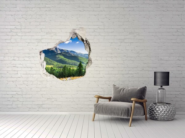 Nálepka fototapeta na zeď Skokanský můstek Tatry
