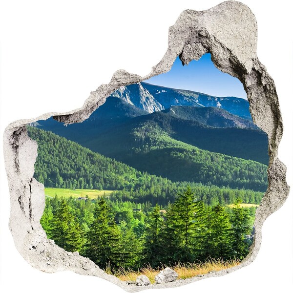 Nálepka fototapeta 3D Skokanský můstek Tatry