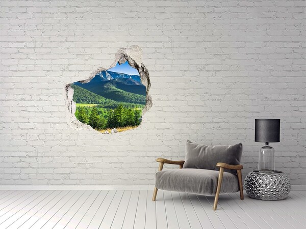 Nálepka fototapeta 3D Skokanský můstek Tatry