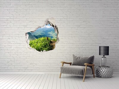 Nálepka fototapeta 3D na zeď Stezka na vrcholku