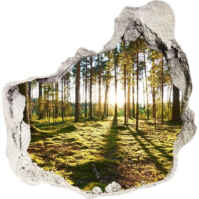 Nálepka fototapeta 3D na zeď Sosnový les