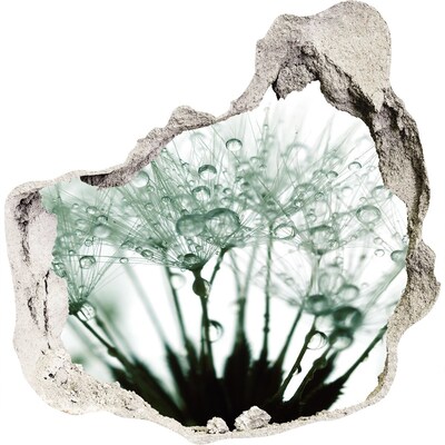 Fotoobraz díra na stěnu Květinový sen za zdí