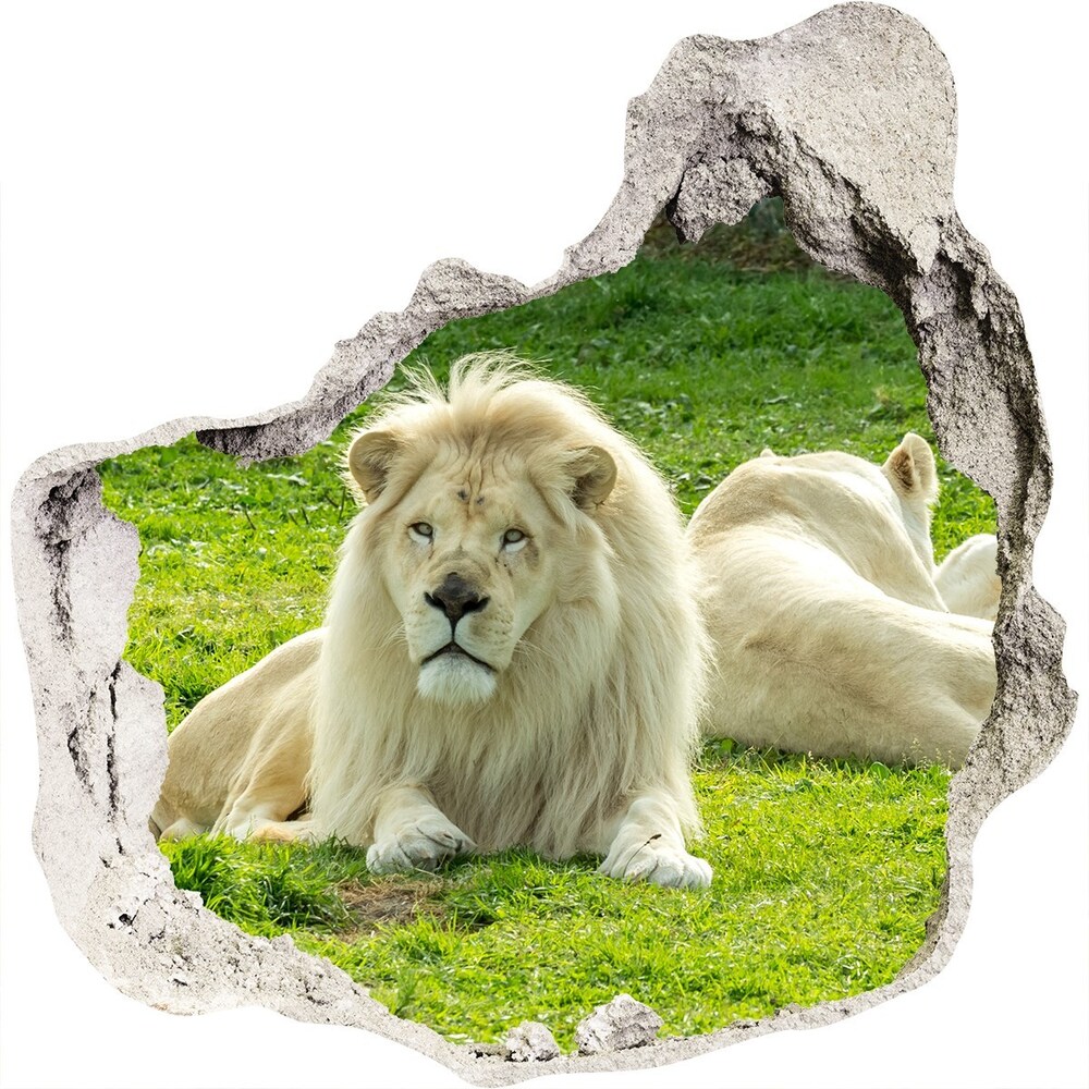 Samolepící díra nálepka Béžoví lvi