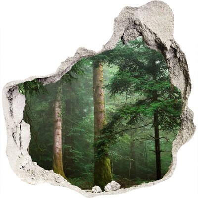 Díra 3D foto tapeta nálepka Mlha v lese