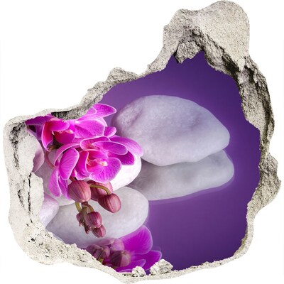 Fotoobraz díra na stěnu Orchidej