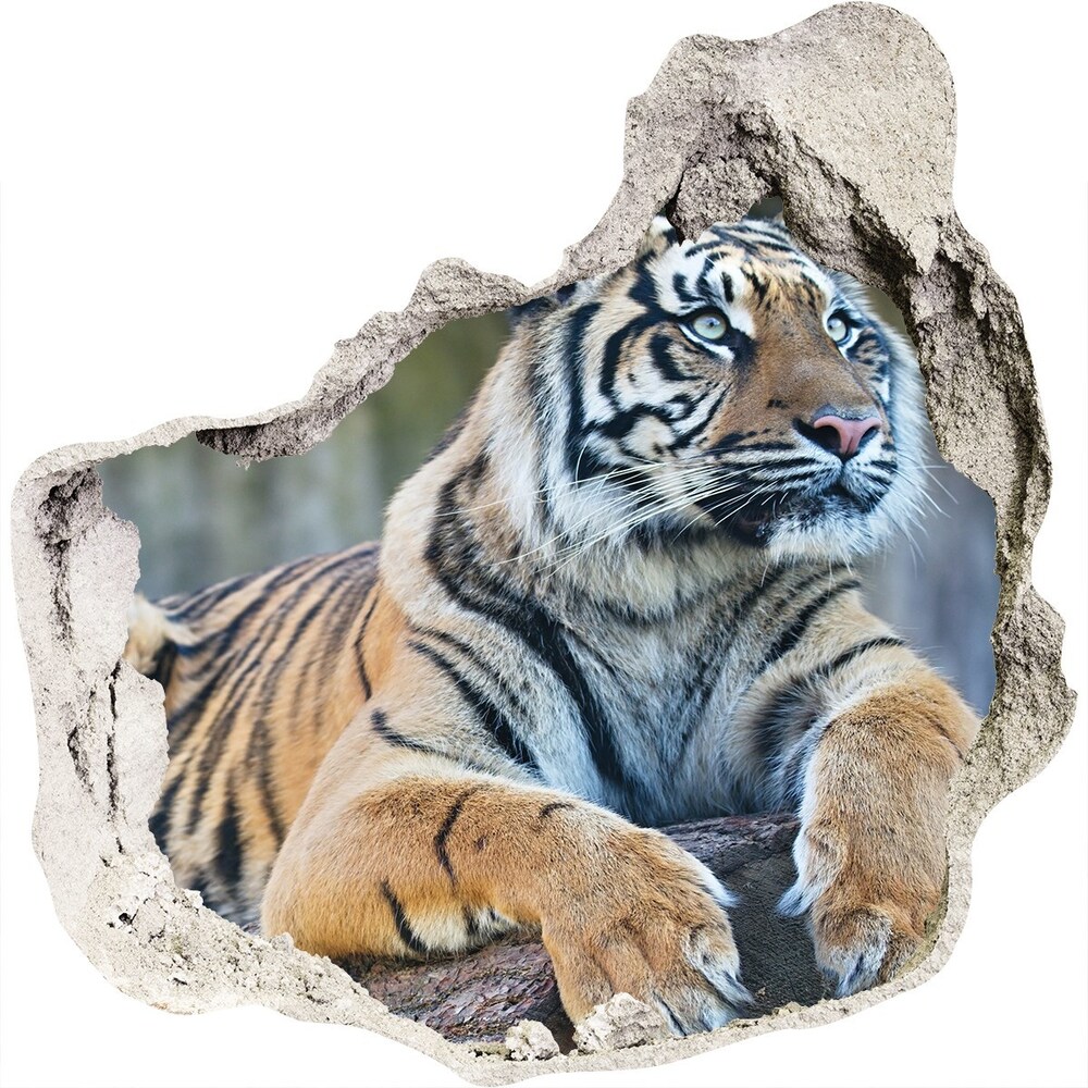 Nálepka 3D díra na zeď Tygr
