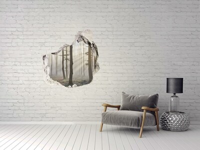 Nálepka 3D díra samolepící Mlžný les v ranním světle