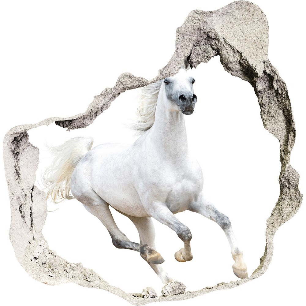 Fototapeta díra na zeď Bílý arabský kůň