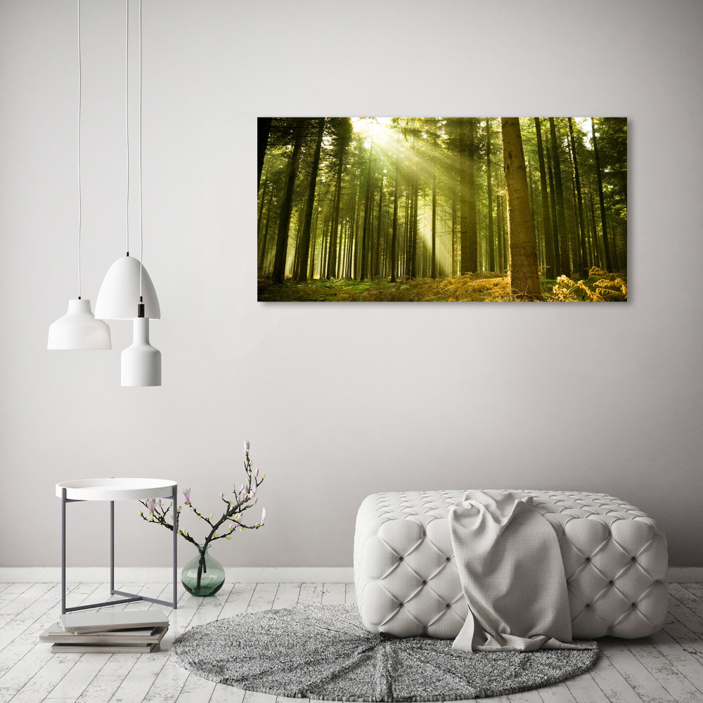 Moderní akrylový fotoobraz Sosnový les