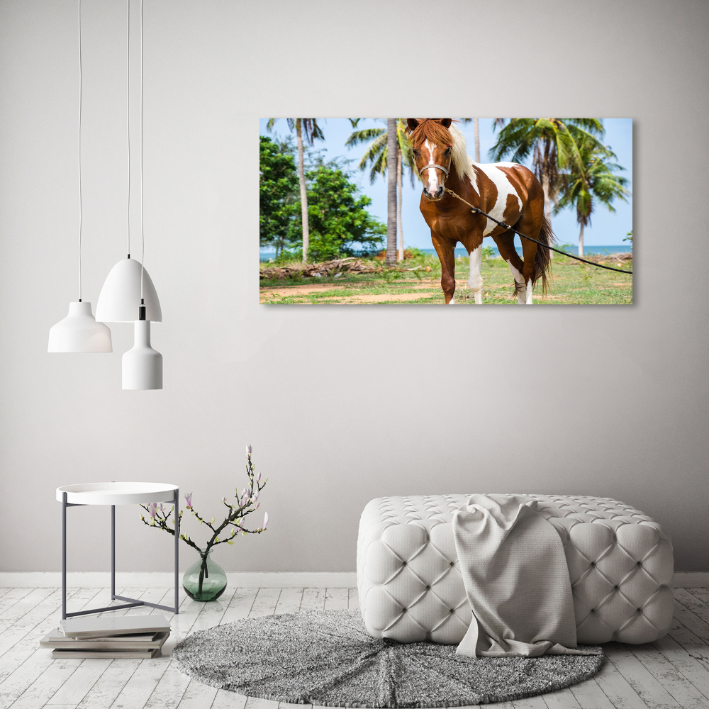 Moderní akrylový fotoobraz Strakatý kůň