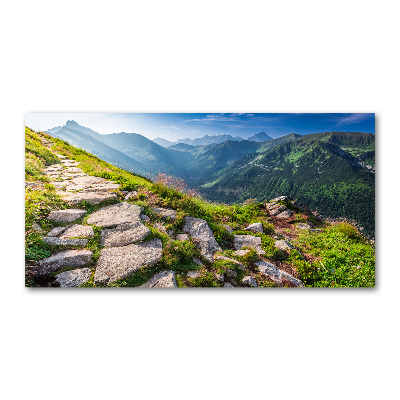 Moderní obraz fotografie na akrylu Východ slunde Tatry