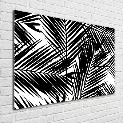 Moderní foto-obraz akryl na stěnu Listí palmy