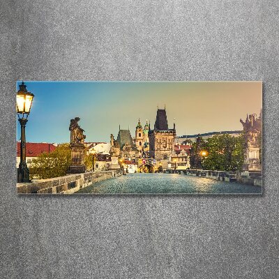 Foto obraz akrylový na stěnu Most Praha