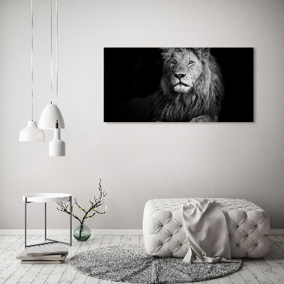 Foto obraz akrylový Lev