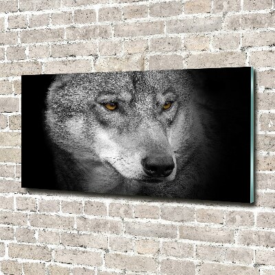 Foto obraz akrylový na stěnu Vlk