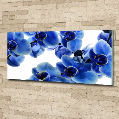 Moderní akrylový fotoobraz Modrná orchidej