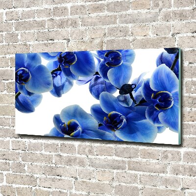 Moderní akrylový fotoobraz Modrná orchidej