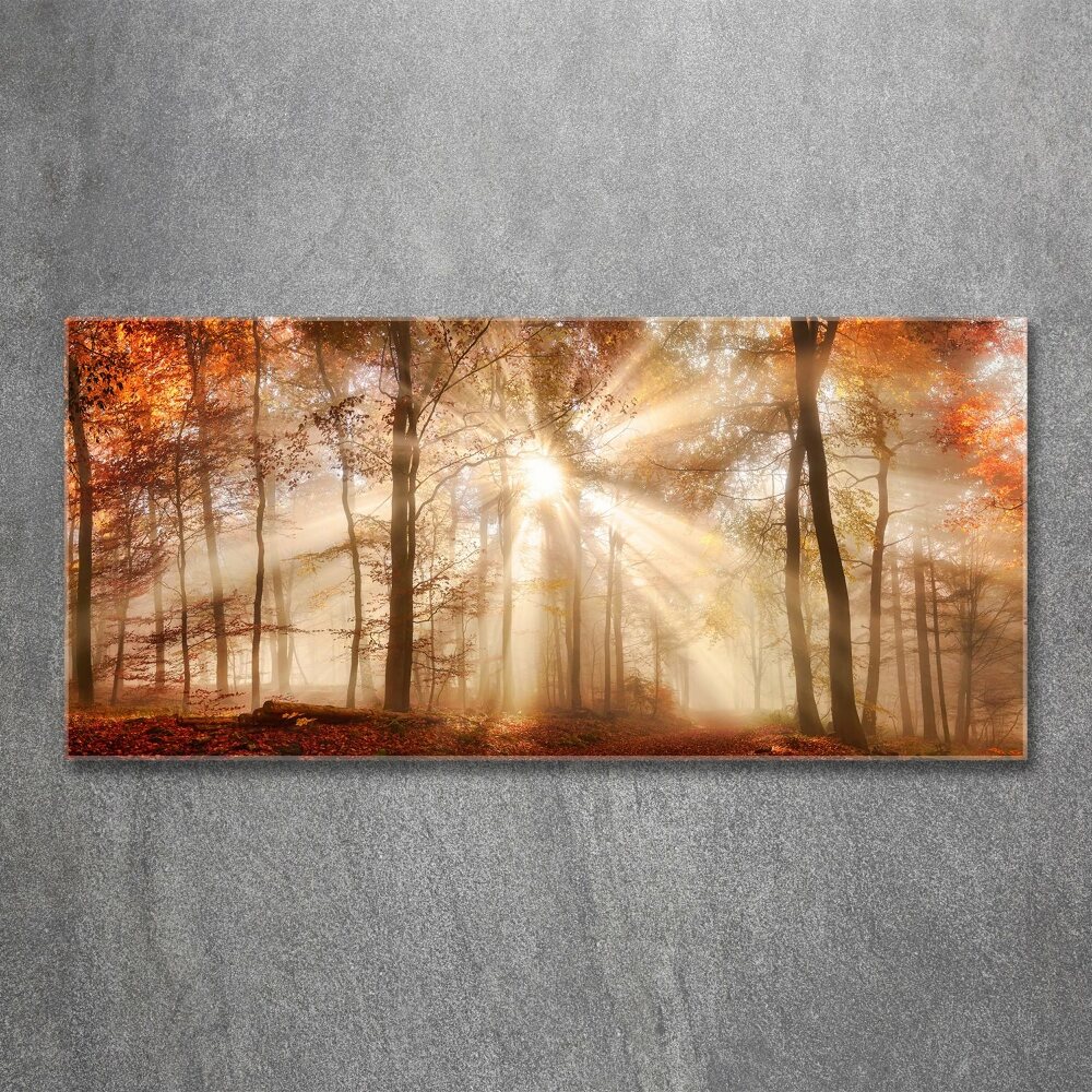 Foto obraz akrylový do obýváku Mlha v lese podzim