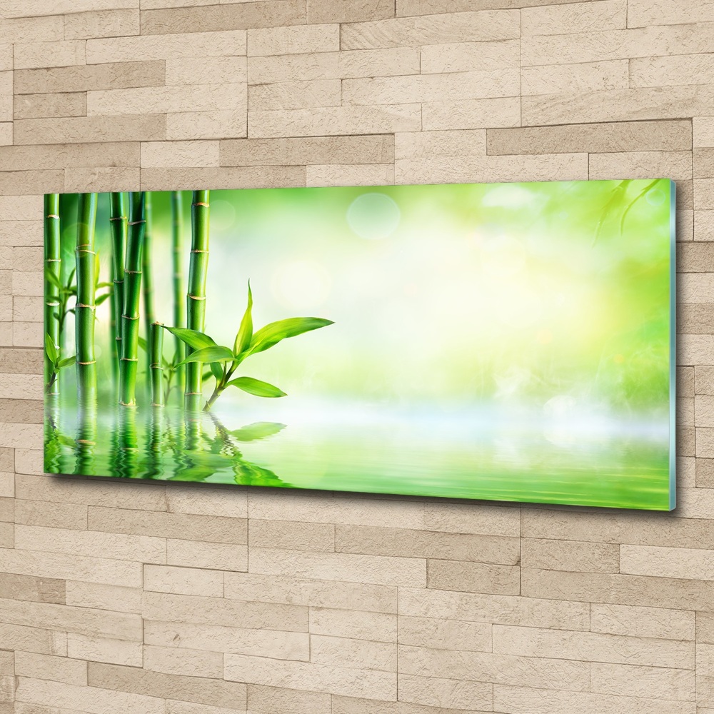 Moderní akrylový fotoobraz Bambus