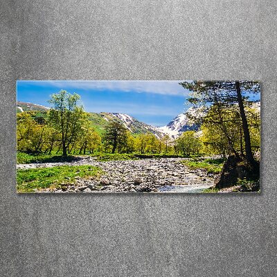 Foto obraz akryl do obýváku Řeka v horách