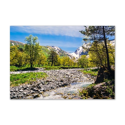 Foto obraz akryl do obýváku Řeka v horách