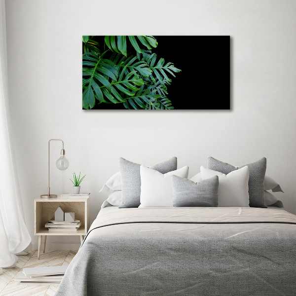 Foto obraz akryl do obýváku Monstera