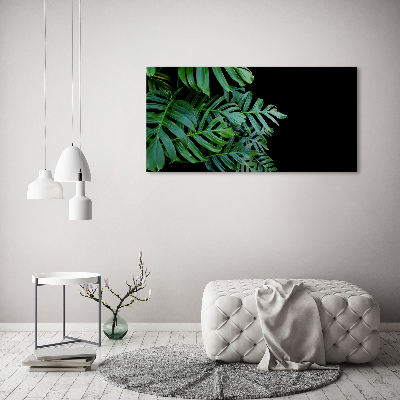 Foto obraz akryl do obýváku Monstera