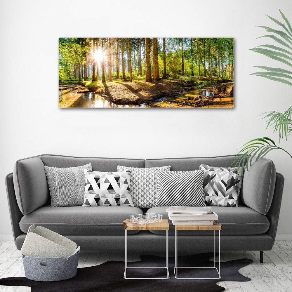 Foto obraz akryl do obýváku Panorama les