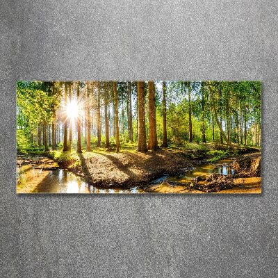 Foto obraz akryl do obýváku Panorama les