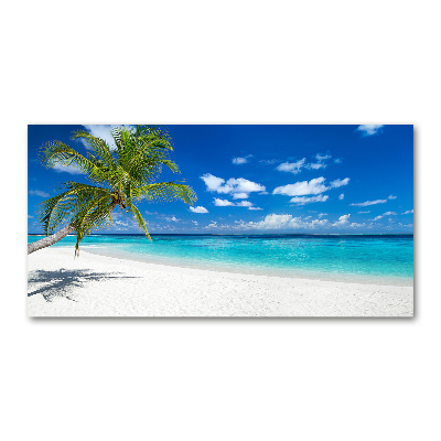 Foto obraz akrylové sklo Tropická pláž