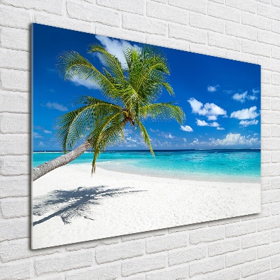 Foto obraz akrylové sklo Tropická pláž