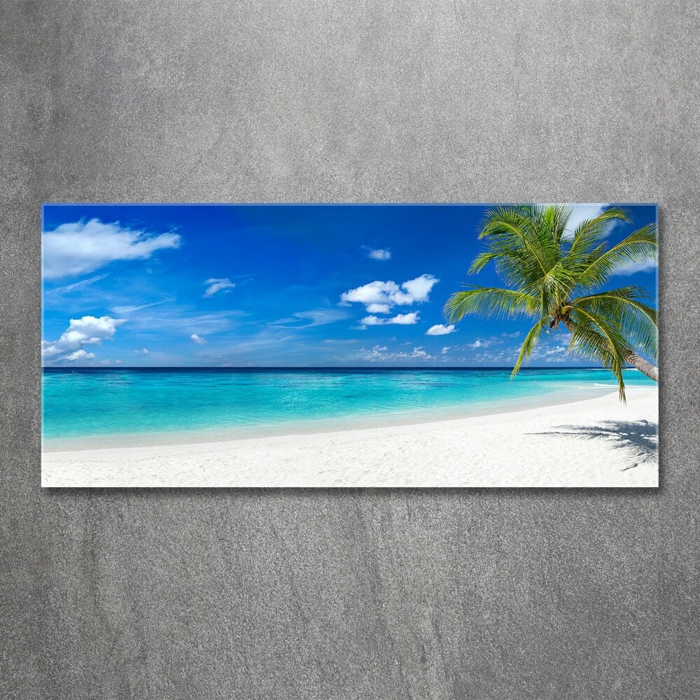 Foto obraz akrylový Tropická pláž