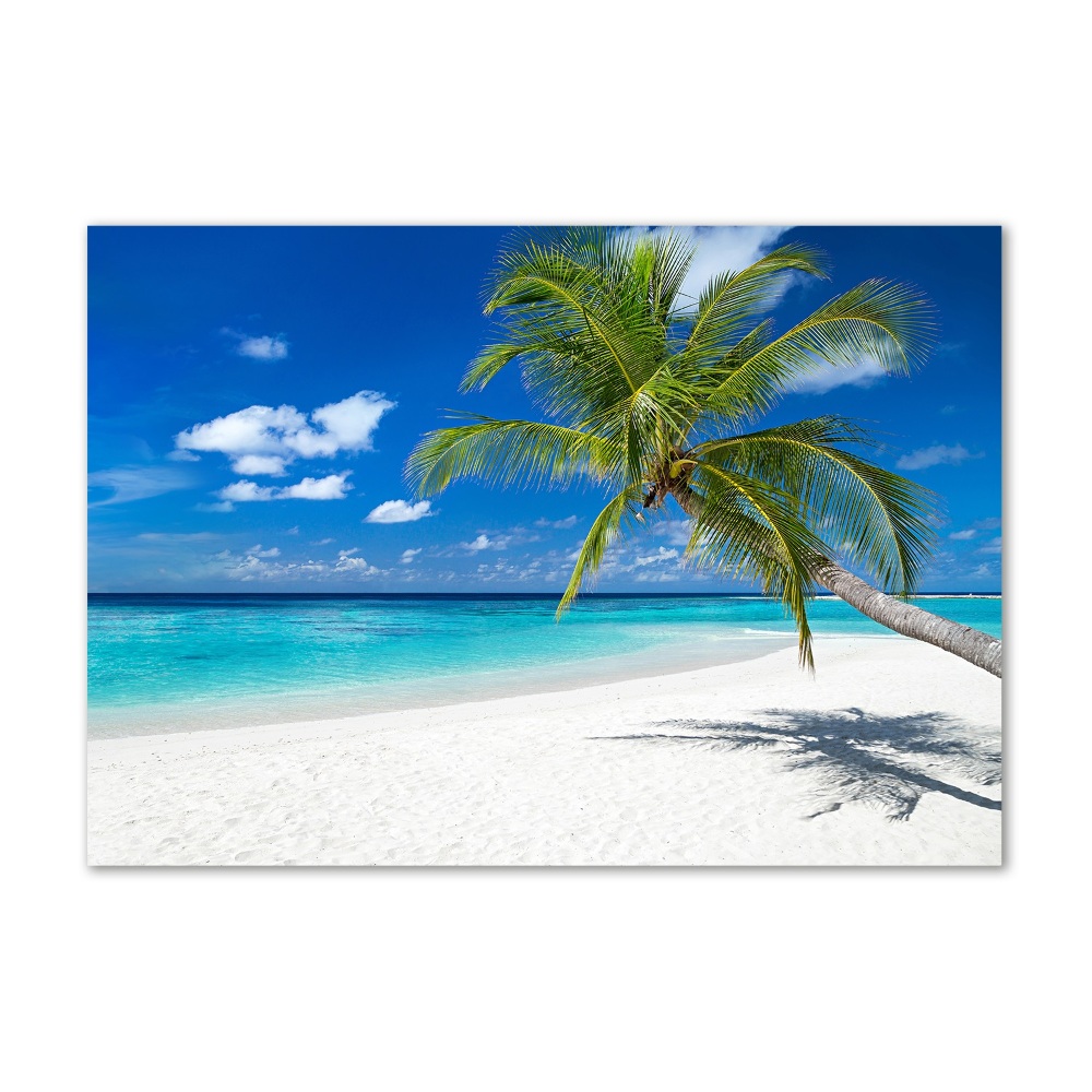 Foto obraz akrylový Tropická pláž