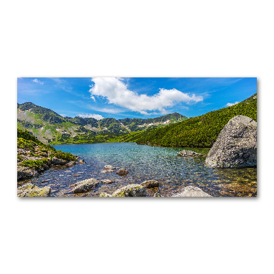 Foto obraz akrylové sklo Údolí Tatry