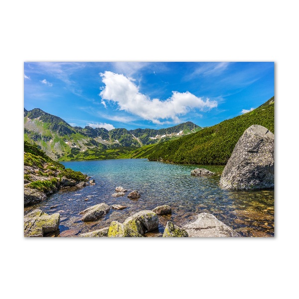 Foto obraz akrylové sklo Údolí Tatry