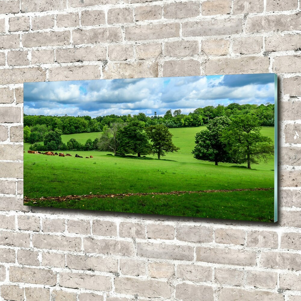 Foto obraz akrylový do obýváku Zelené pahorky