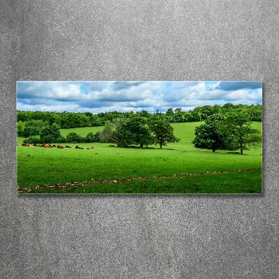 Foto obraz akrylový do obýváku Zelené pahorky