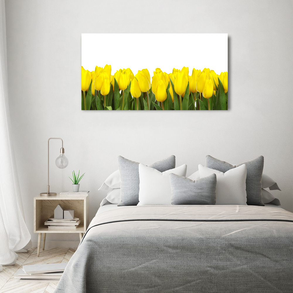 Foto obraz akrylový do obýváku Žluté tulipány