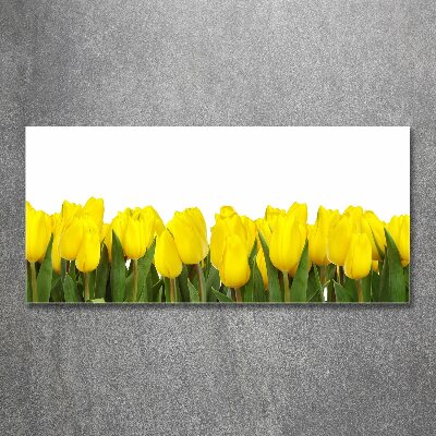 Foto obraz akrylový do obýváku Žluté tulipány