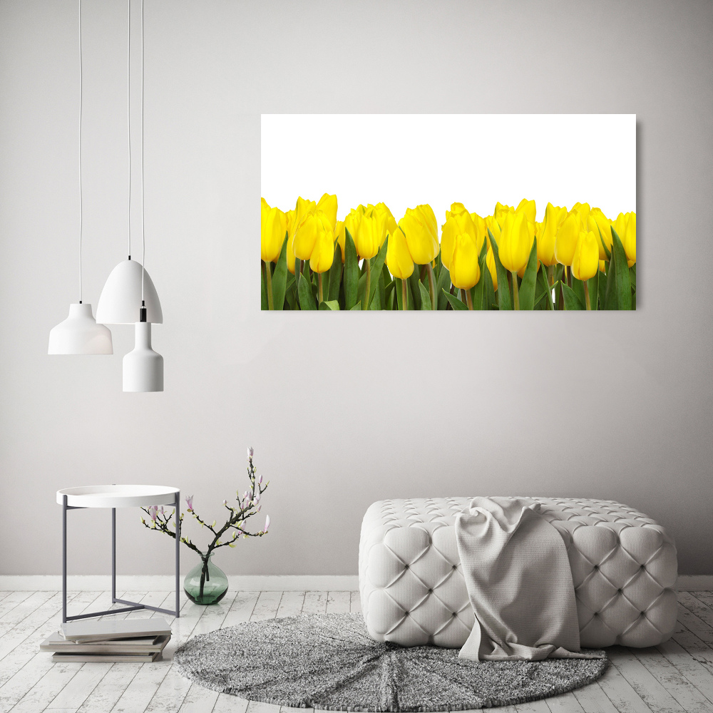 Foto obraz akrylový do obýváku Žluté tulipány