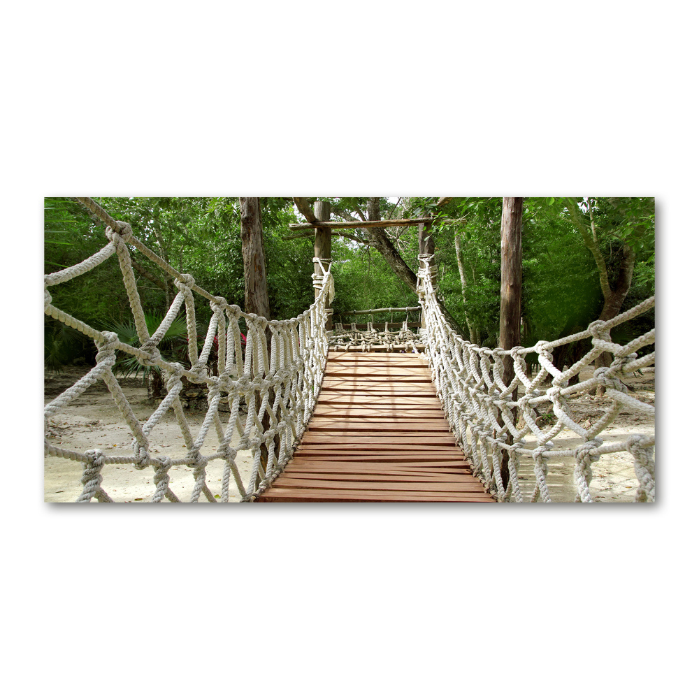 Foto obraz akrylový Lanový most