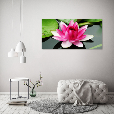 Foto obraz akrylový na stěnu Vodní lilie