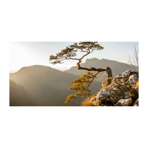 Foto obraz akryl do obýváku Sokolice Pieniny