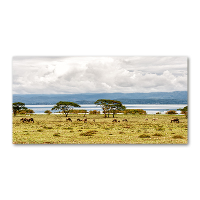 Foto obraz akrylové sklo Jezero Naivasha