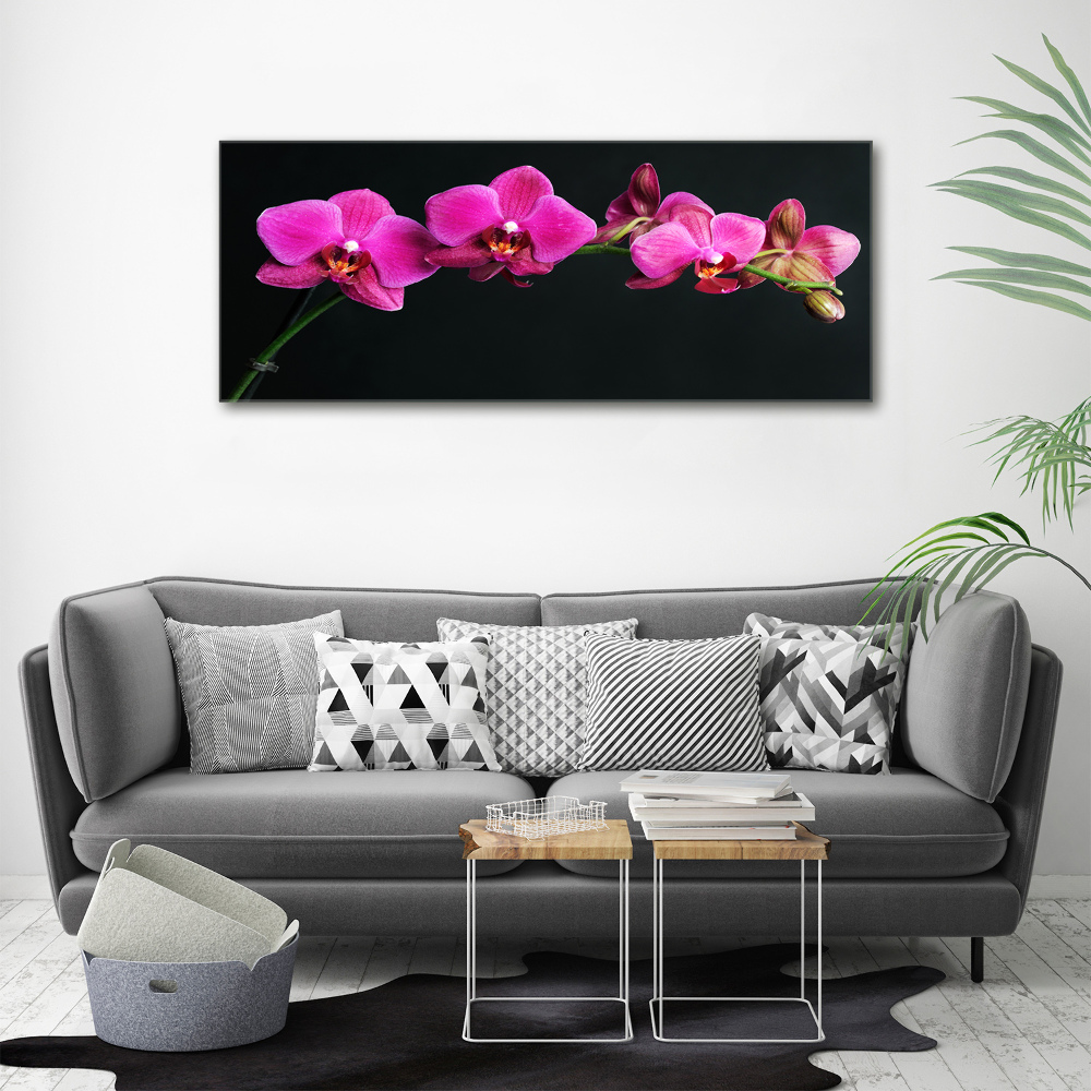 Foto obraz akrylový Orchidej
