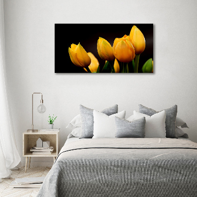 Foto obraz akrylový do obýváku Žluté tulipány