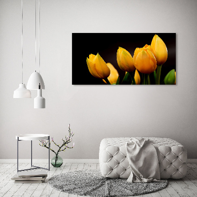 Foto obraz akrylový do obýváku Žluté tulipány