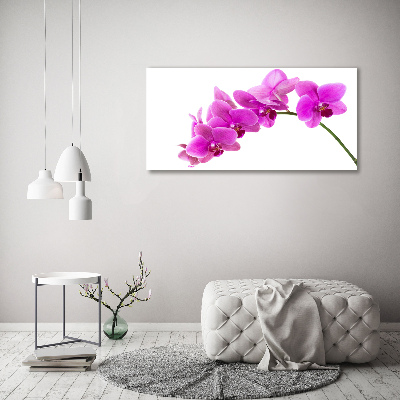 Foto obraz akrylový Růžová orchidej