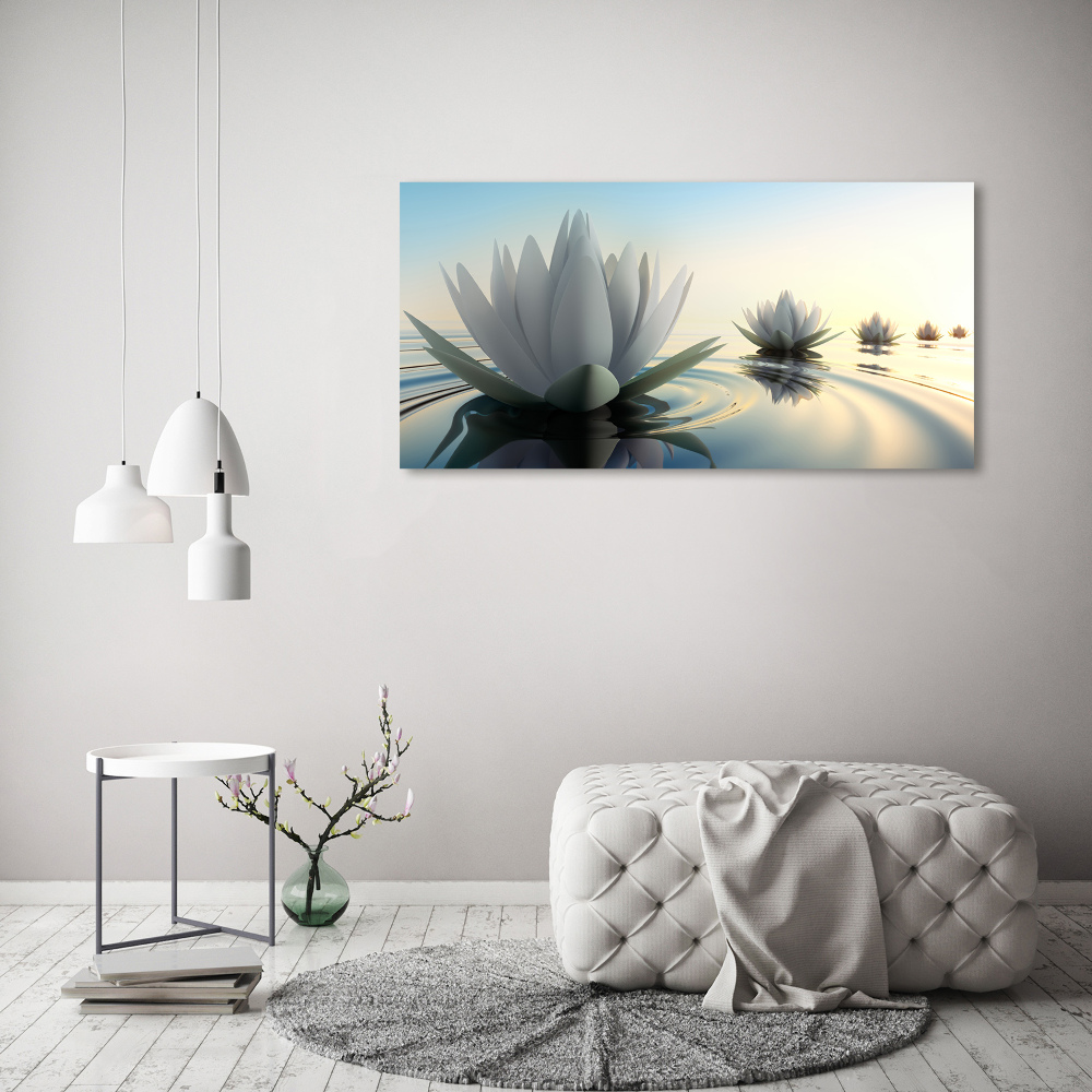 Foto obraz akrylové sklo Květ lotosu